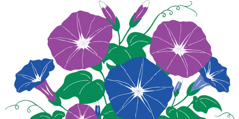 Purple Morning Glory Flowers Vector Illustration, Elegant Floral Botanical Background with Blooming Garden Vines, © kamdesign