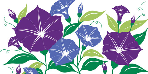 Purple Morning Glory Flowers Vector Illustration, Elegant Floral Botanical Background with Blooming Garden Vines, © kamdesign