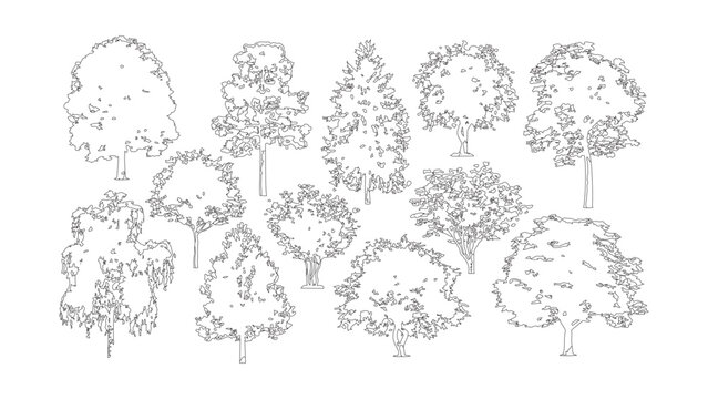 Collection of black and white tree line art sketches for landscape architectural drawings.
