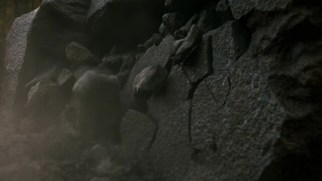Mysterious dark rock surface transitioning into shadowy depths