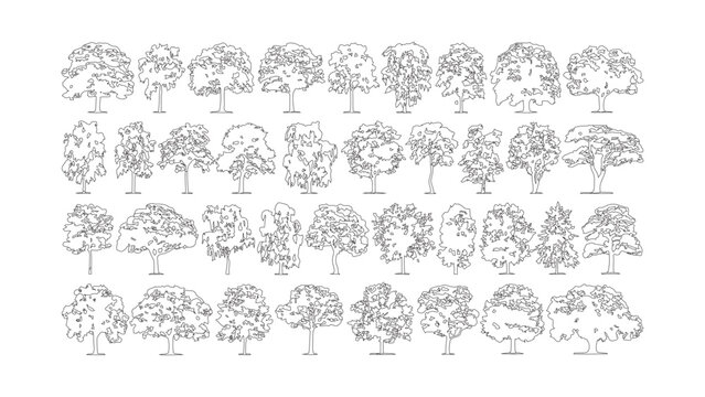 Set of thirty six hand drawn tree outlines isolated on transparent background for architect.