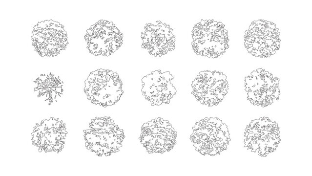 Graphic collection of tree top view symbols for architectural and landscape master plans.