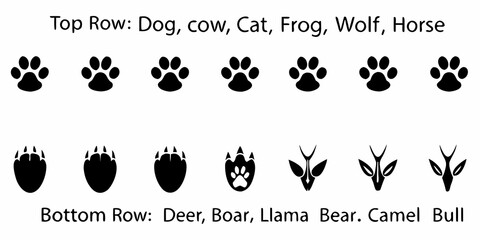 Animal Paw Print Silhouettes On White Background © Amrita