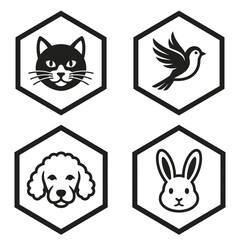 Fototapeta premium Black and white animal faces.