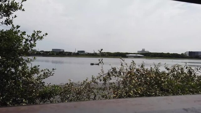 A walking trip around Yatsu Tidal Flat in Chiba, Japan