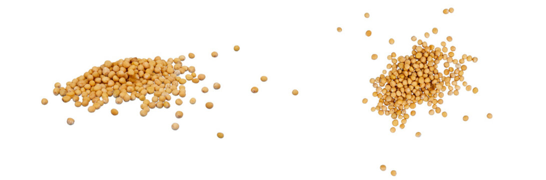 two piles of mustard seeds laying isolated on white or transparent png