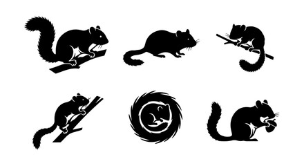 Obraz premium Squirrel icon set silhouette, white background