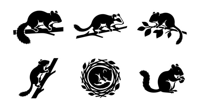 Squirrel icon set, silhouette, white background