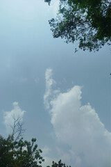 Fototapeta premium sky and clouds