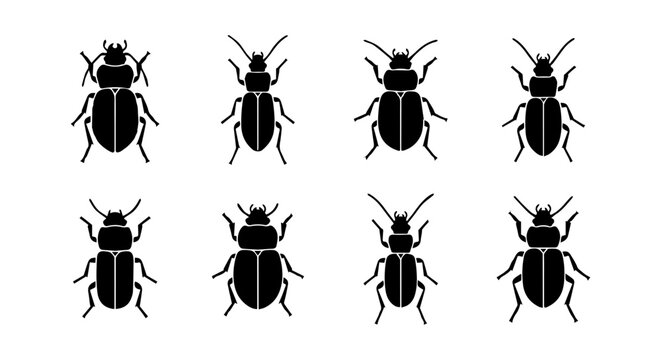 Beetle icon set, silhouette, white background