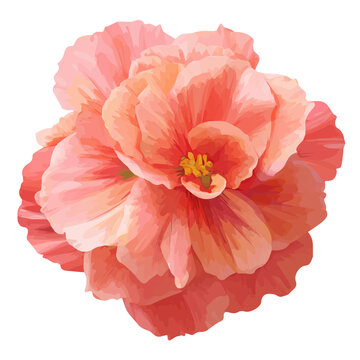Begonia Flower, illustrated as a clean 2D flat vector icon isolated on a white background