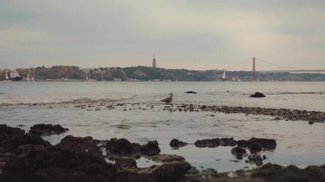 Panoramic daylight view of the busy Lisbon bay with various ships from a rocky viewpoint