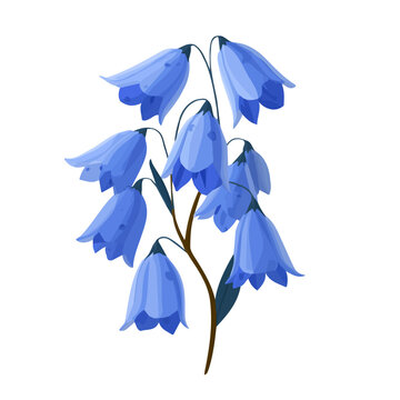2D flat vector graphic of a Bluebell in icon style, isolated on white background