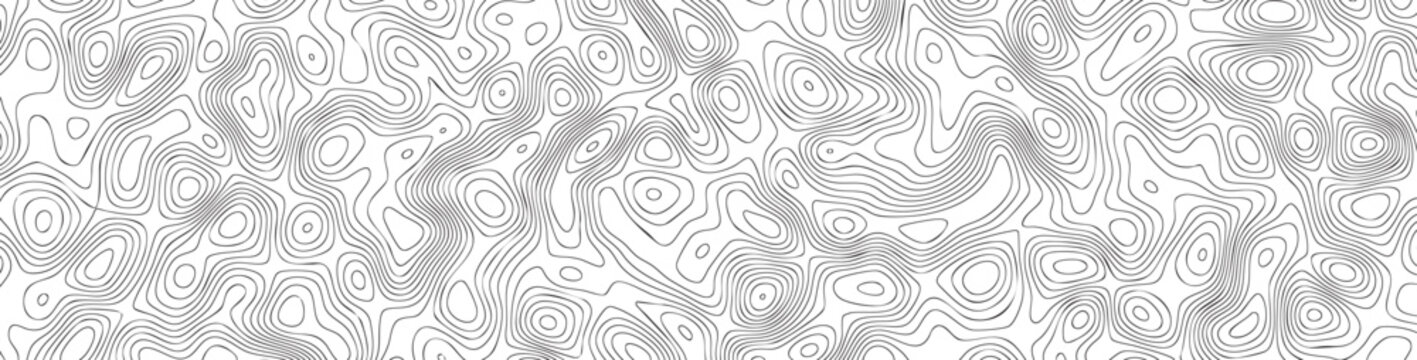 Black and white topographic contour vector pattern with wavy lines and shapes on white background for design and texture