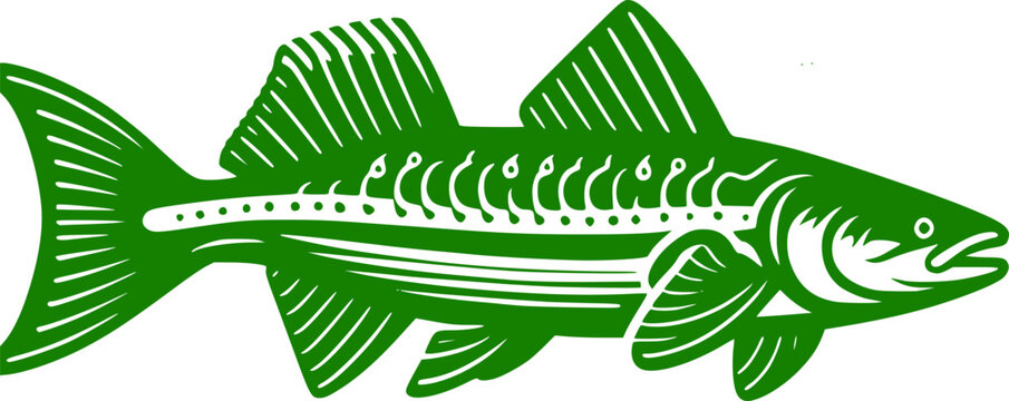 Stylized green salmon or trout fish illustration.Linocut style fish graphics for logo design.