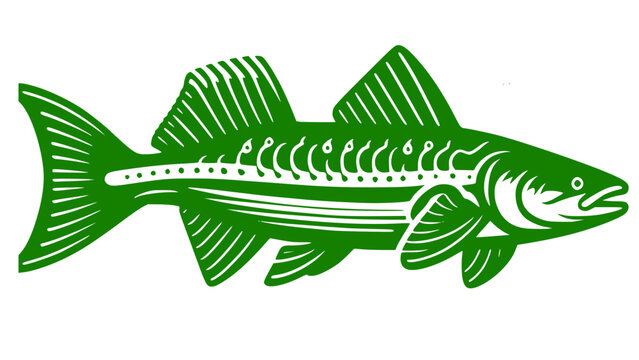 Stylized green salmon or trout fish illustration.Linocut style fish graphics for logo design.