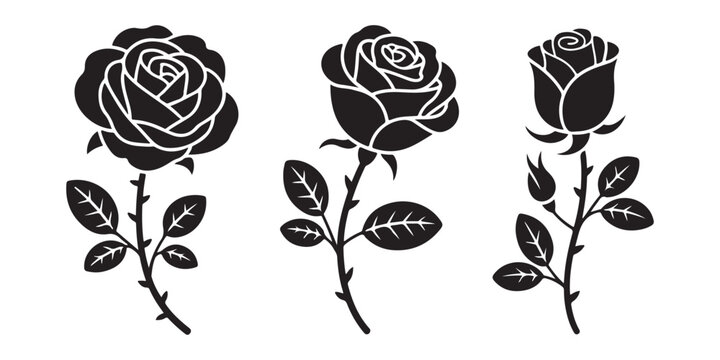 Three black silhouettes of beautiful roses with thorns stems and leaves on transparent background.