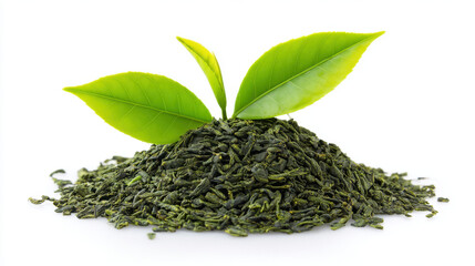 Obraz premium Green tea leaves pile loose leaf tea dried tea leaf fresh leaf herbal ingredient isolated on white natural product organic tea healthy beverage tea plant