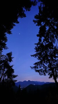 Timelapse of Starry Night Sky Framed by Forest Tree Silhouettes With Mountain Landscape