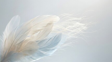 Naklejka premium Soft White Feather Floating in Blue Sky Light Background