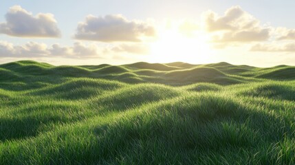 Obraz premium Rolling Green Hills Under Golden Sunlight and Clouds