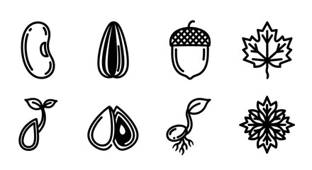 Set of Linear Icons Featuring Various Seeds Sprouting Plants and Autumn Leaves © matahari