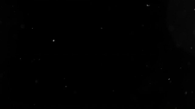 Super Slow Motion Shot of Flying Small Particles , Isolated on Black Background , Filmed on High Speed Cinematic Camera at 1000 FPS