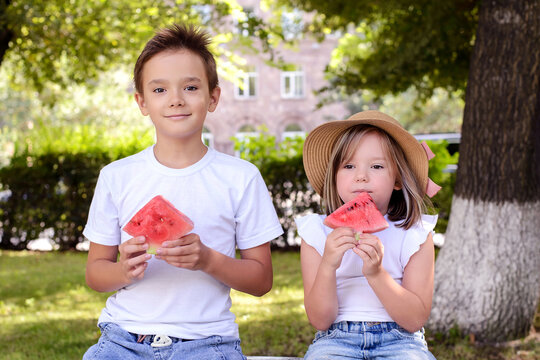 Brother and sister enjoying fresh watermelon in a sunny park. Healthy summer snack, happy childhood, sibling bonding, and outdoor family lifestyle in a natural setting