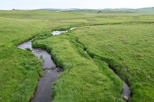 autour de Nasbinals (Aubrac)