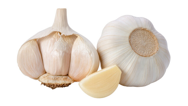 Isolated fresh garlic bulbs with a separated clove, essential ingredient for cooking and healthy eating.