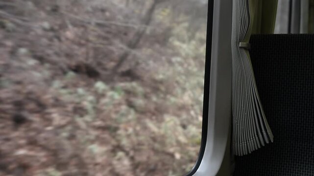 ローカル線の車内の窓枠とカーテン越しに眺めるスピード感のある流れる木々の車窓風景