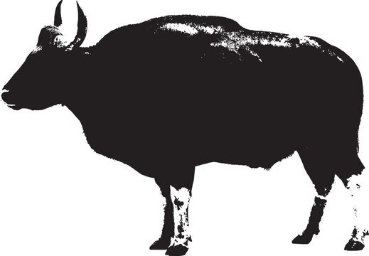 Black silhouette of a large gaur bison standing in profile view isolated on transparent background, Vector