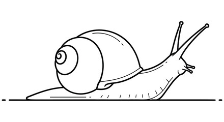 Line art snail illustration with visible shell and foot on a ground line © Imdadul_Studio