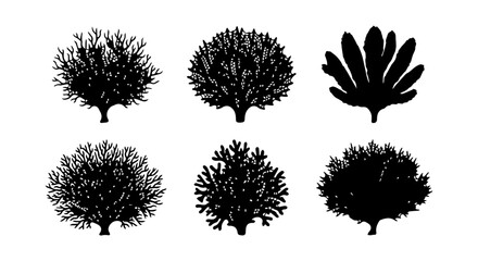 Coral icon set silhouette, white background, vector illustration © Shahidul