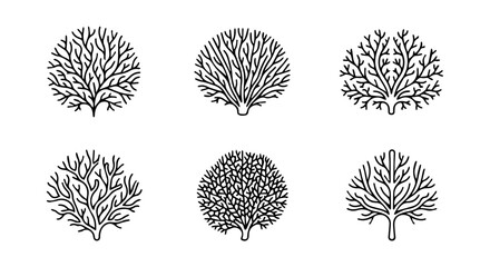 Coral reef icon set, outline style, white background © Shahidul