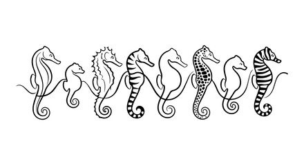 Seahorse icon set outline, white background, vector illustration © Rani