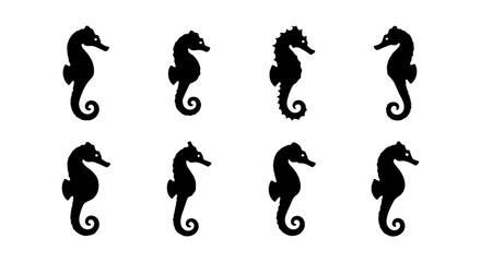 Seahorse icon set silhouette, white background, vector illustration © Rani