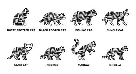 Wild Cat icon set, outline style, white background © Enamul
