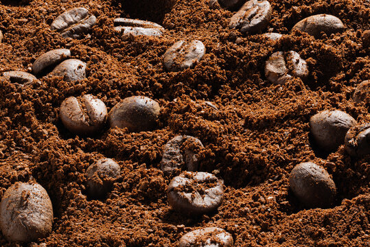 High-Resolution close-up of roasted coffee bean macro texture with ground particles extreme detail ultra sharp maximum sharpness