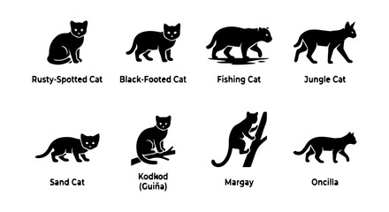 Wild Cat icon set, silhouette, white background © LailaBegum021