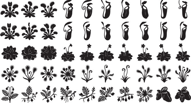 Carnivorous Plant Silhouettes Collection, Exotic Botanical Illustrations, Insectivorous Flora Vector Icons, Pitcher Plant & Venus Flytrap Designs, Tropical Botanical Elements