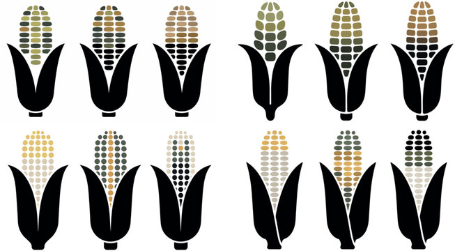 corn on the cob in a dotted pattern on white background