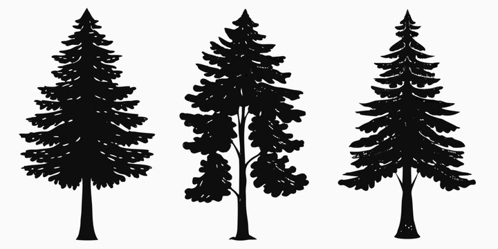 Pine Tree Silhouettes Black Shapes On White Background
