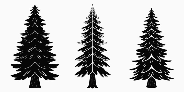 Pine Tree Silhouettes Black Shapes On White Background