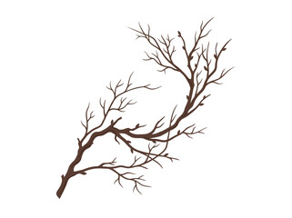Fototapeta premium Bare tree branches against a white background.