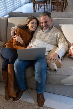 Couple sitting closely on beige sofa at home wearing knitted sweaters sharing laptop petting puppy