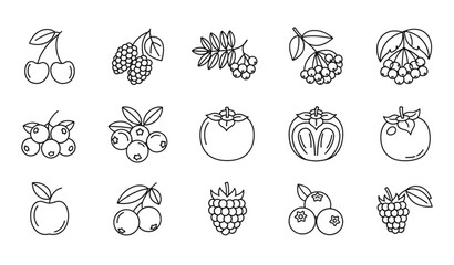 Modern berry and fruit outline icon collection vector design © Prodip