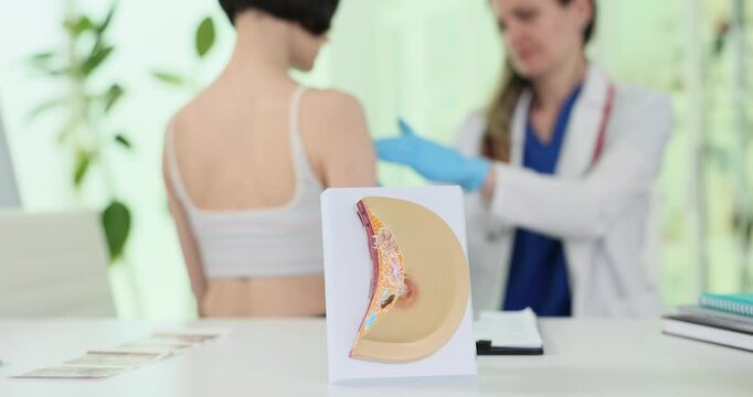Human breast anatomical model and doctor examining patient in clinic. Woman undergoes mammary gland testing at appointment in hospital slow motion