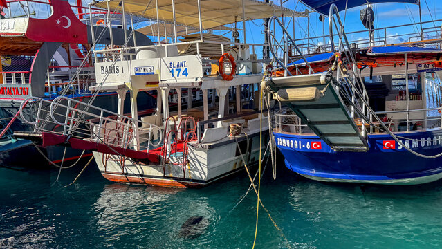 Colorful wooden gulet boats moored in Antalya harbor under bright sun with turquoise water suitable for travel blogs, tourism, social media, editorial, 5 May 2026 Antalya, Turkey