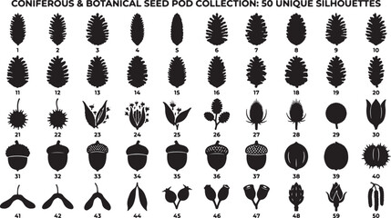 Coniferous & Botanical Seed Pod Collection: 50 Unique Silhouettes, Nature Elements, Organic Shapes, Vector Icons for Design © Shafiul